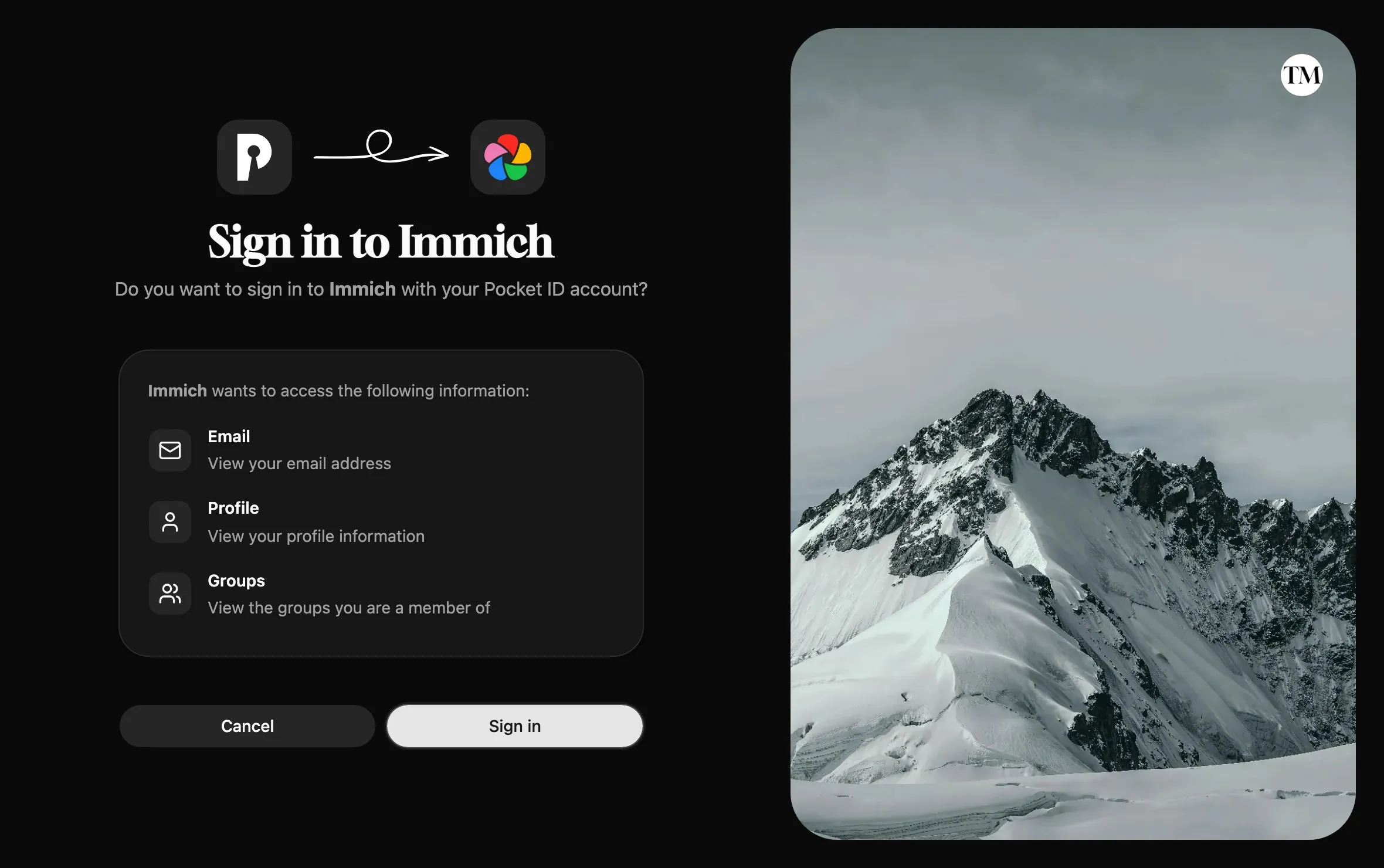 The Sign in to Immich page listing the email, profile and groups that Immich wants to access